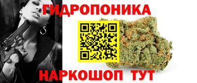 амф Михайловск
