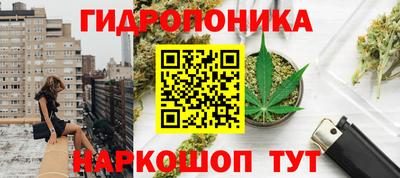 амф Михайловск